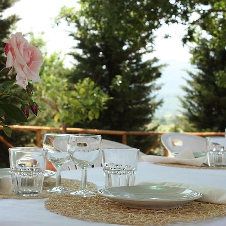 Willa Agriturismo La Colombaia Vicchio Zewnętrze zdjęcie