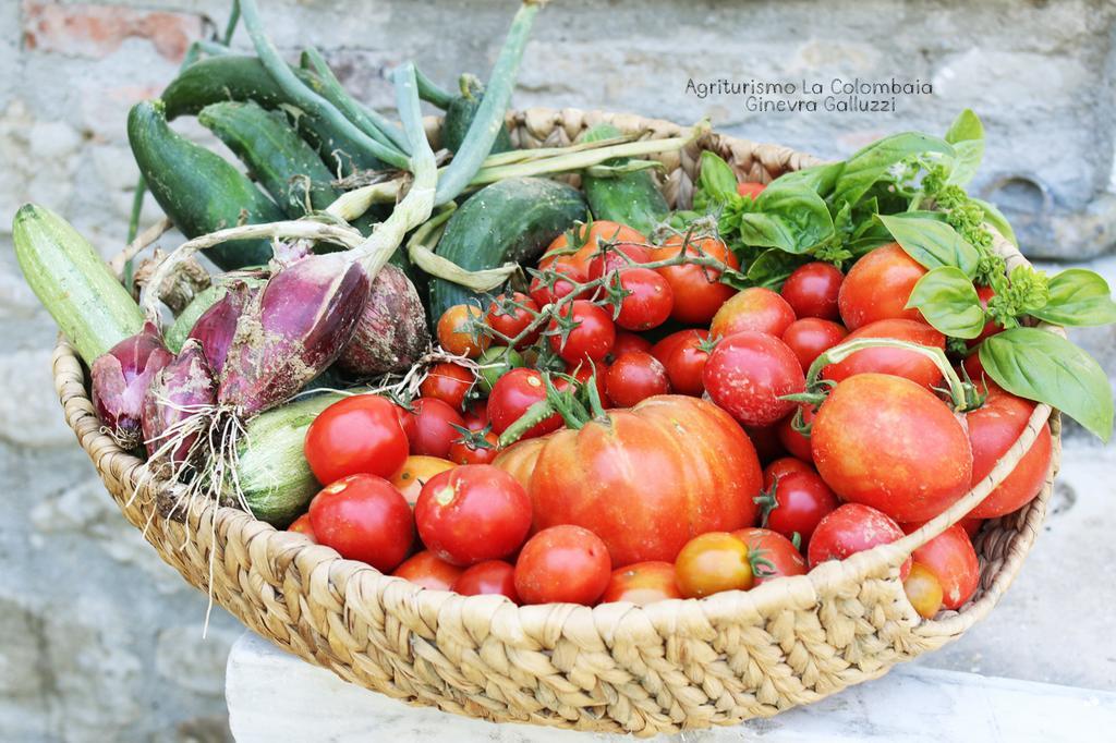 Willa Agriturismo La Colombaia Vicchio Zewnętrze zdjęcie