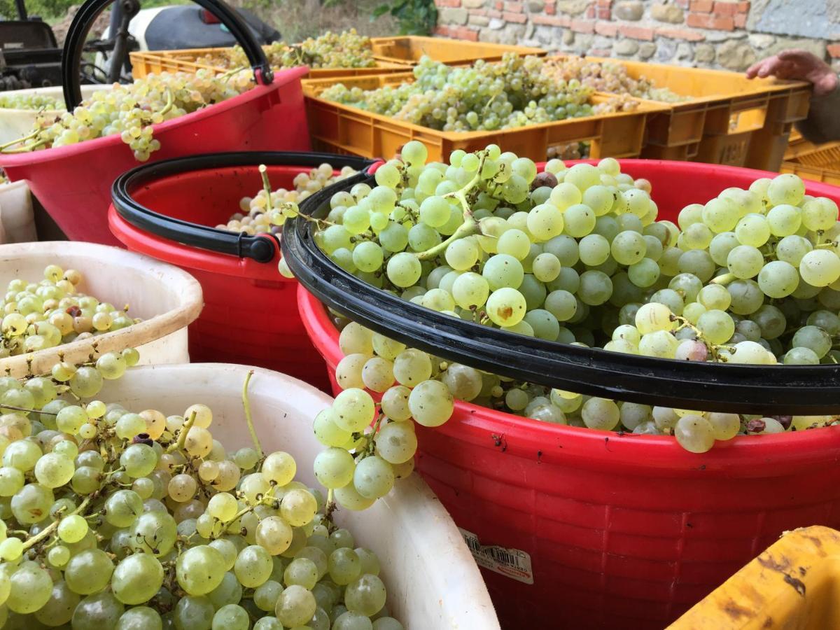 Willa Agriturismo La Colombaia Vicchio Zewnętrze zdjęcie